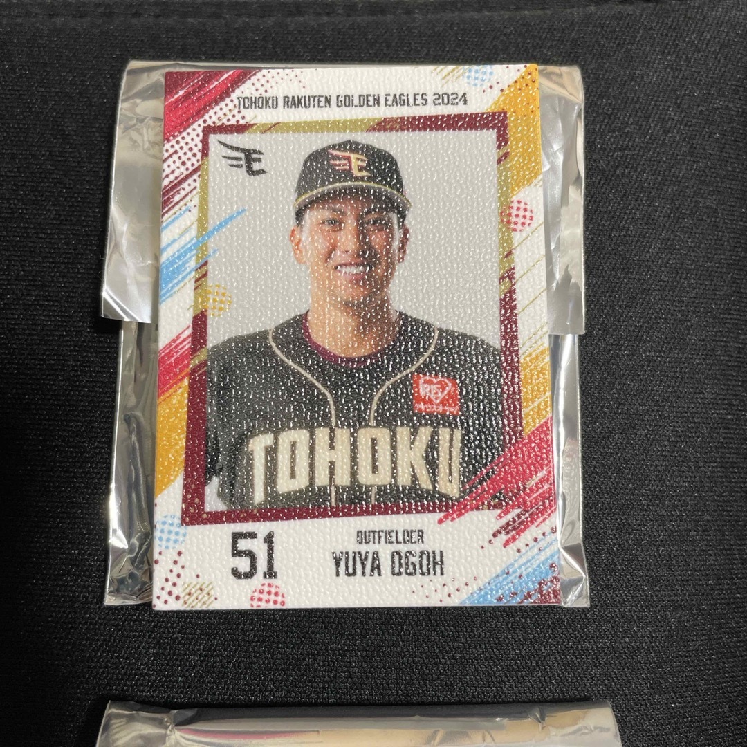 東北楽天ゴールデンイーグルス(トウホクラクテンゴールデンイーグルス)の楽天イーグルス ミニスタメンパネル スポーツ/アウトドアの野球(記念品/関連グッズ)の商品写真