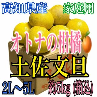 『家庭用』オトナの味！高知県産 土佐文旦 2L〜5L 約5kg(箱込)(フルーツ)