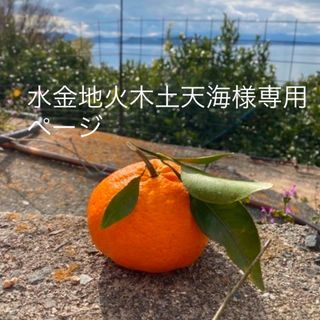 水金地火木土天海様専用ページ　10キロ(フルーツ)