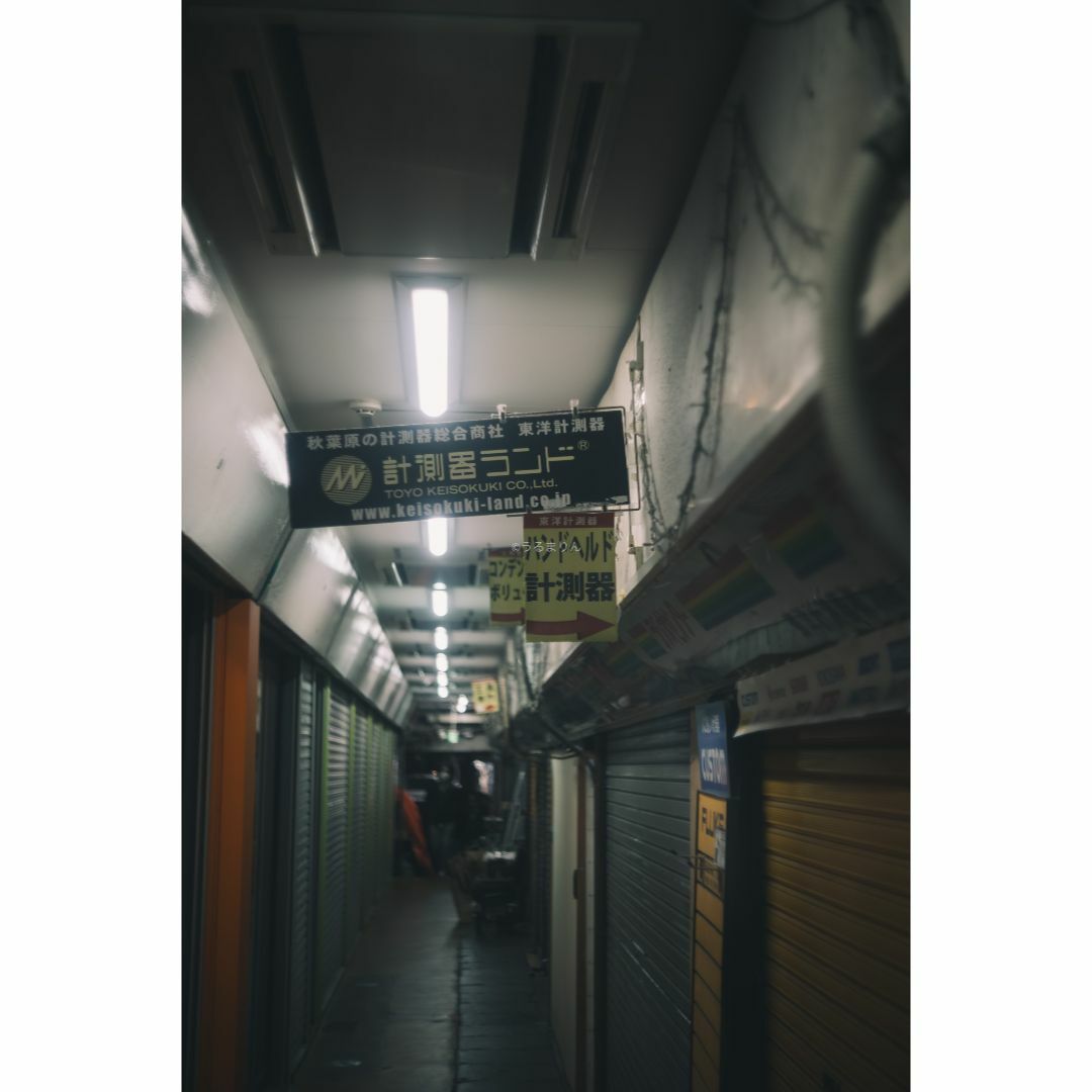 LEICA - 程よい滲み玉!癖玉!Leica Summar 50mm f2 オールド LEICA - 程よい滲み玉!癖玉!Leica Summar 50mm f2 オールド
