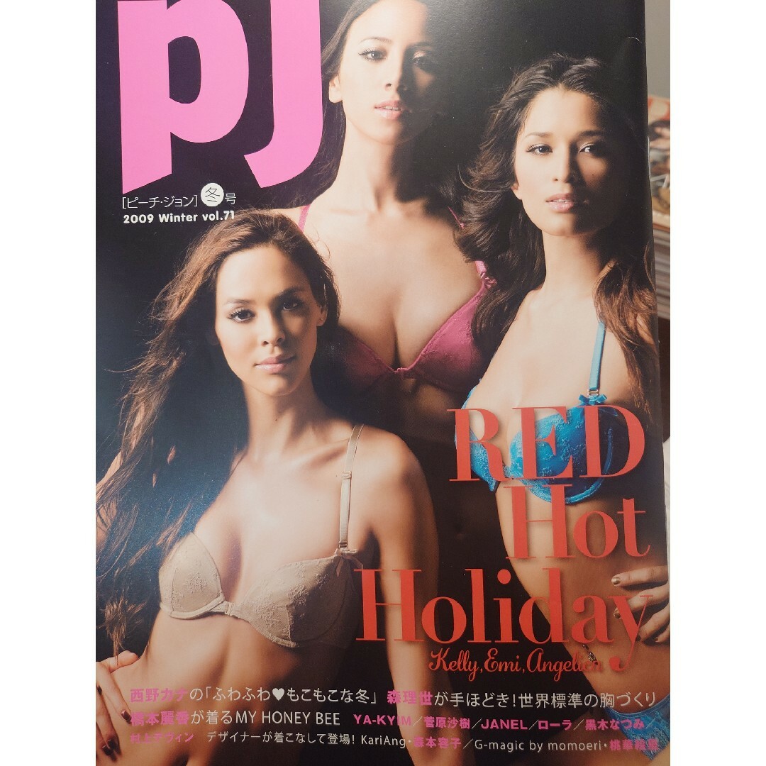 PEACH JOHN(ピーチジョン)のピーチ・ジョン カタログ 2009年冬号 vol.71 エンタメ/ホビーの雑誌(ファッション)の商品写真