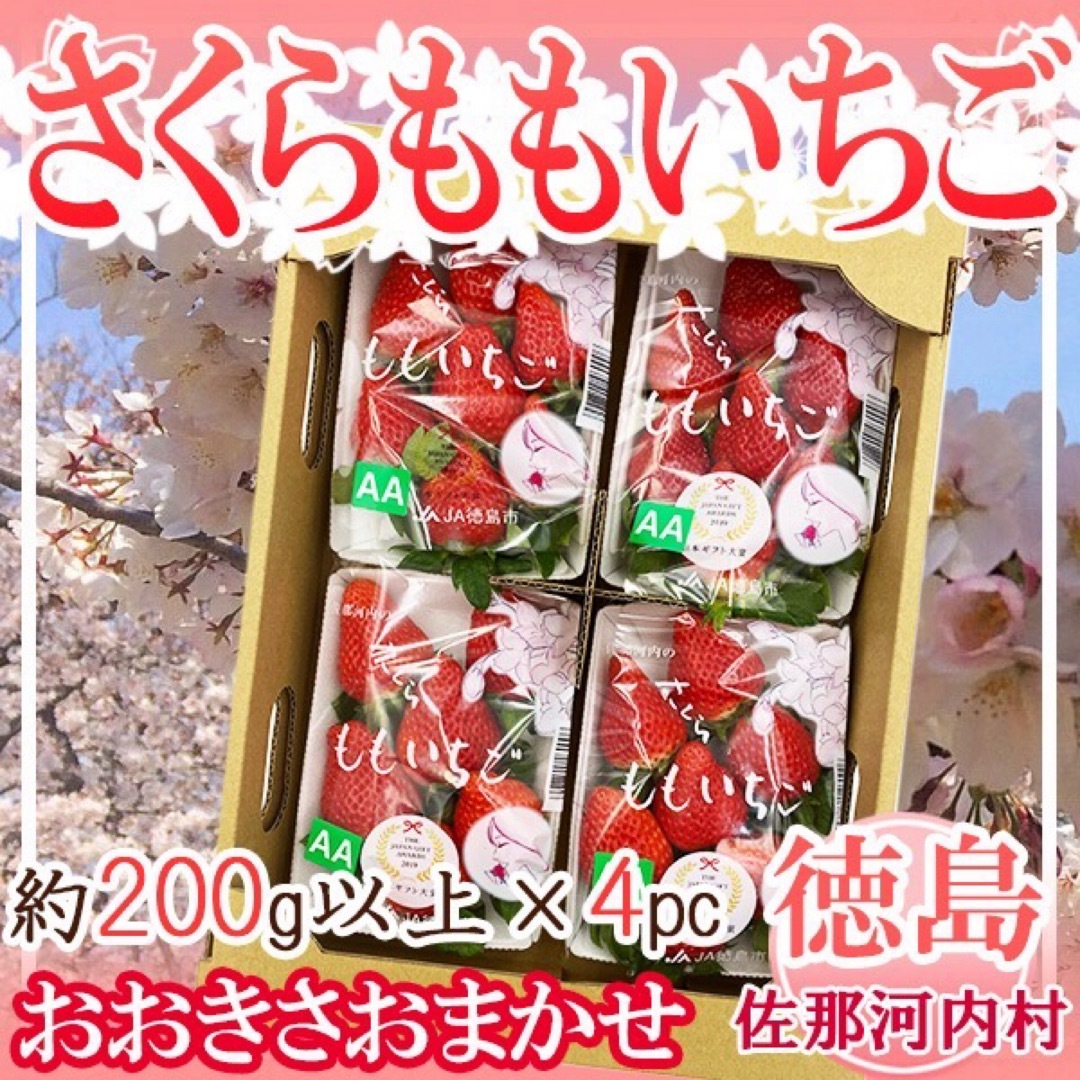 徳島県産 さくらももいちご おおきさおまかせ 1パック約200g以上 4パック 食品/飲料/酒の食品(フルーツ)の商品写真