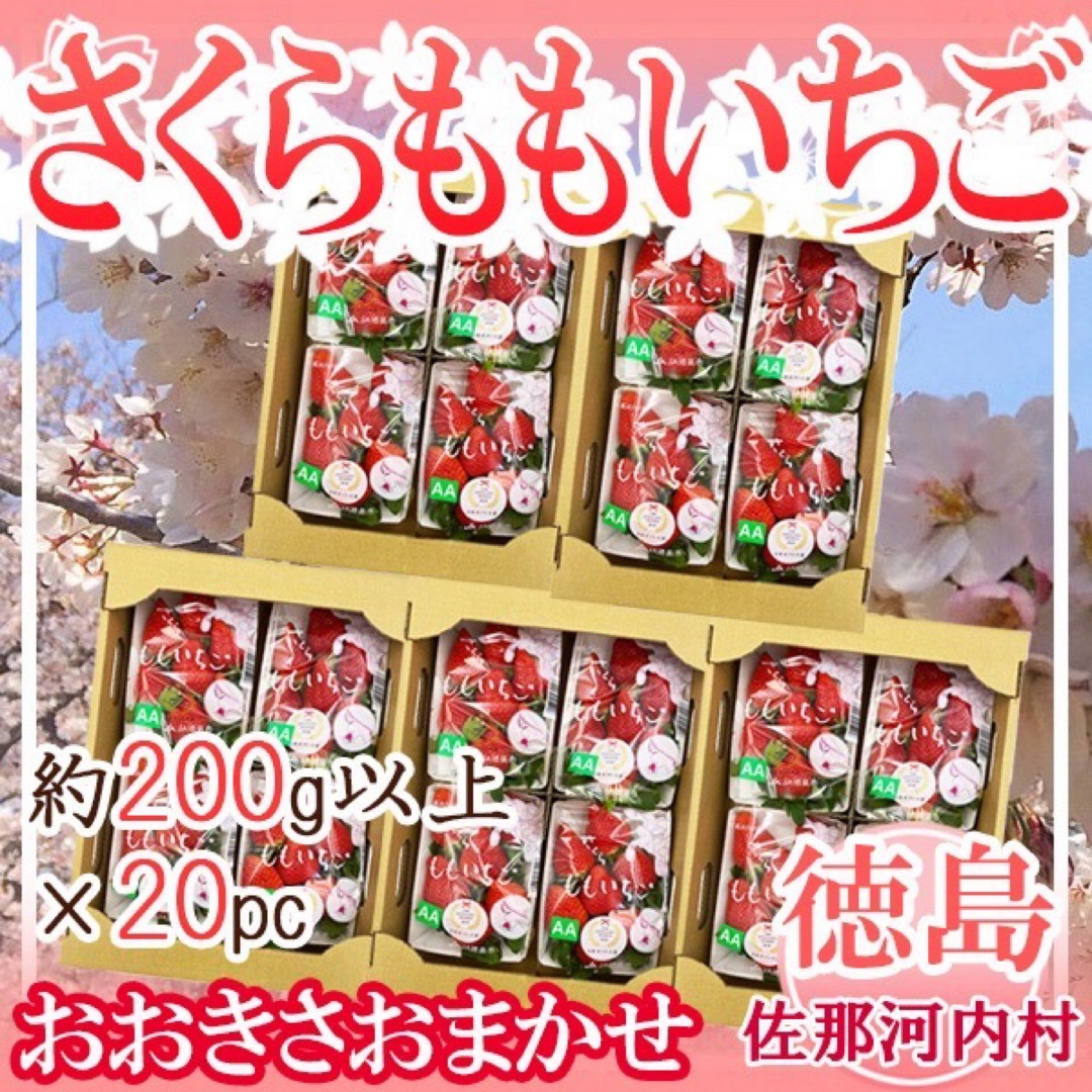 徳島県産 さくらももいちご おおきさおまかせ 1パック約200g以上 20パック 食品/飲料/酒の食品(フルーツ)の商品写真