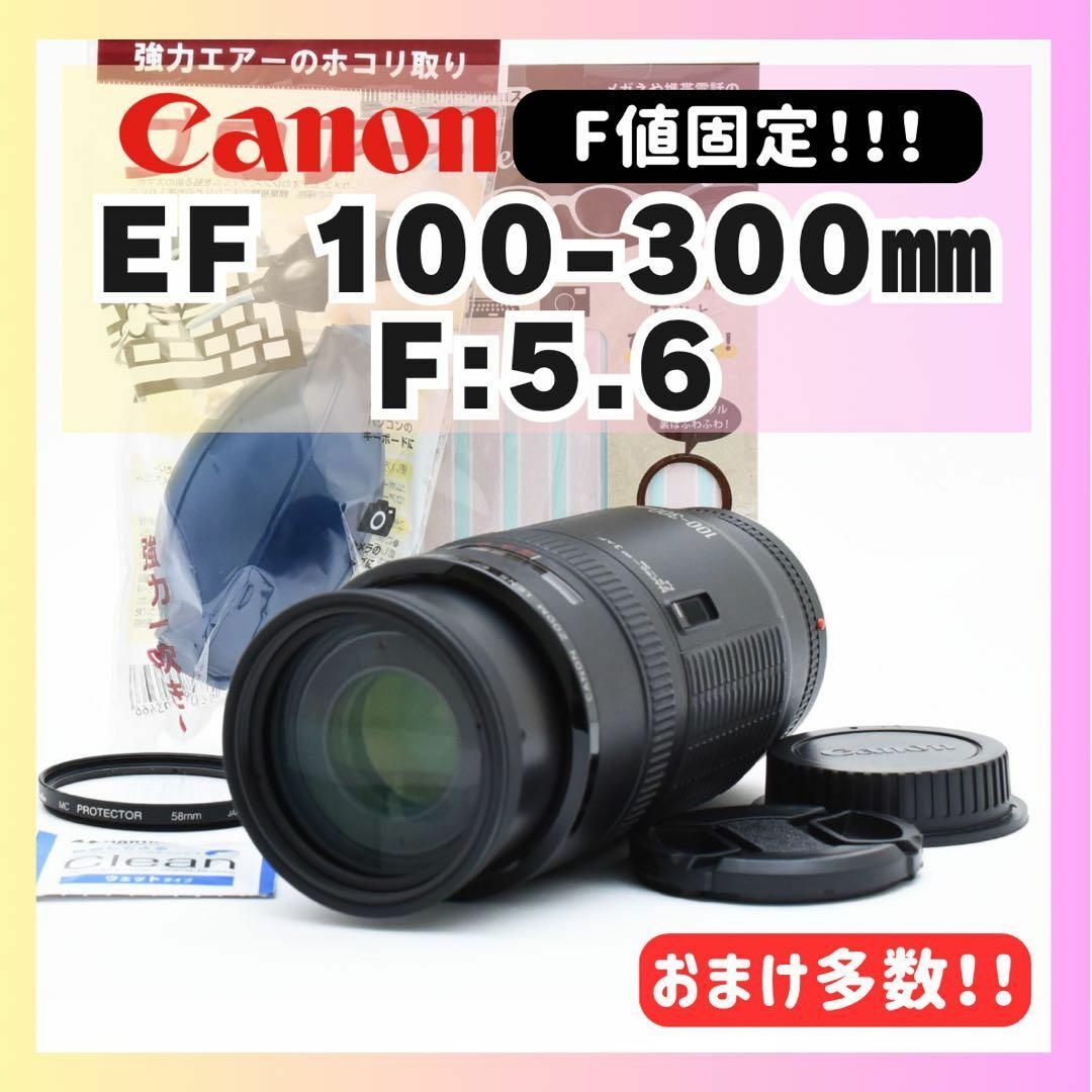 ✨エモ感・特上級✨F値固定✨✨Canon EF 100-300 超 ✨エモ感・特上級✨F値固定✨✨Canon EF 100-300 超
