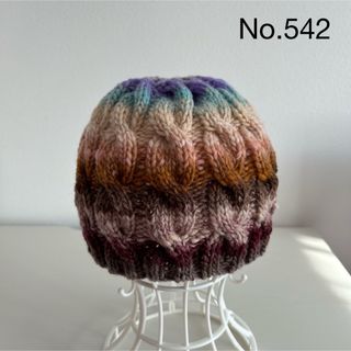 No.542 手編みのニット帽（野呂英作　くれよん452番色　使用）(ニット帽/ビーニー)