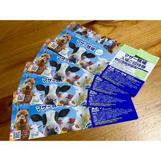 ’25 /３.31 迄 ⭐︎ 千葉県 マザー牧場 ⭐︎ 入園券４枚 set！(動物園)