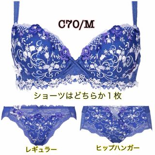 トリンプ(Triumph)のC70/M ◆トリンプ TR0072 プレミアム レッドレーベル◆ブルー(ブラ&ショーツセット)