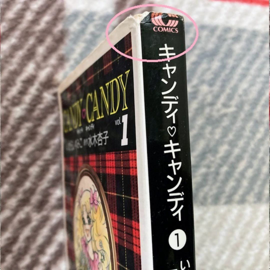 キャンディ・キャンディ きく 新装版 全巻 いがらしゆみこ 水木杏子 キャンディ・キャンディ きく 新装版 全巻 いがらしゆみこ 水木杏子