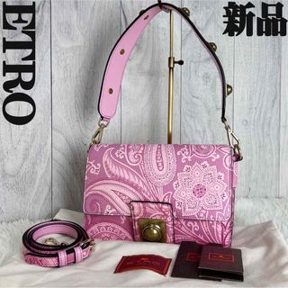 ETRO(バッグ ・ ピンク/桃色系)のフリマアイテム一覧 ETRO(バッグ ・ ピンク/桃色系)のフリマアイテム一覧