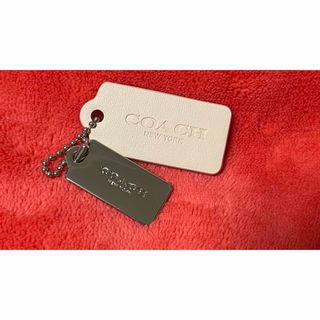 COACH - 新品❇︎正規品 COACH チェリー チャーム キーリング COACH - 新品❇︎正規品 COACH チェリー チャーム キーリング