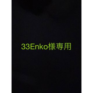 33enko様専用(ミュージシャン)