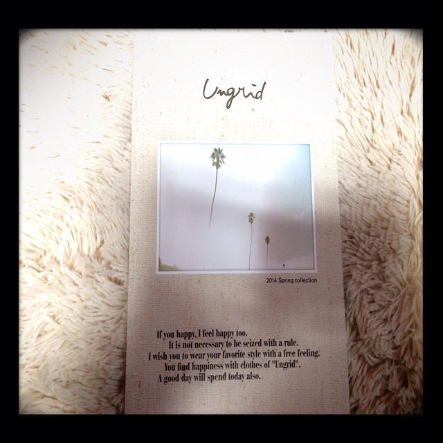 Ungrid(アングリッド)のUngrid s/sカタログ♡ エンタメ/ホビーのエンタメ その他(その他)の商品写真