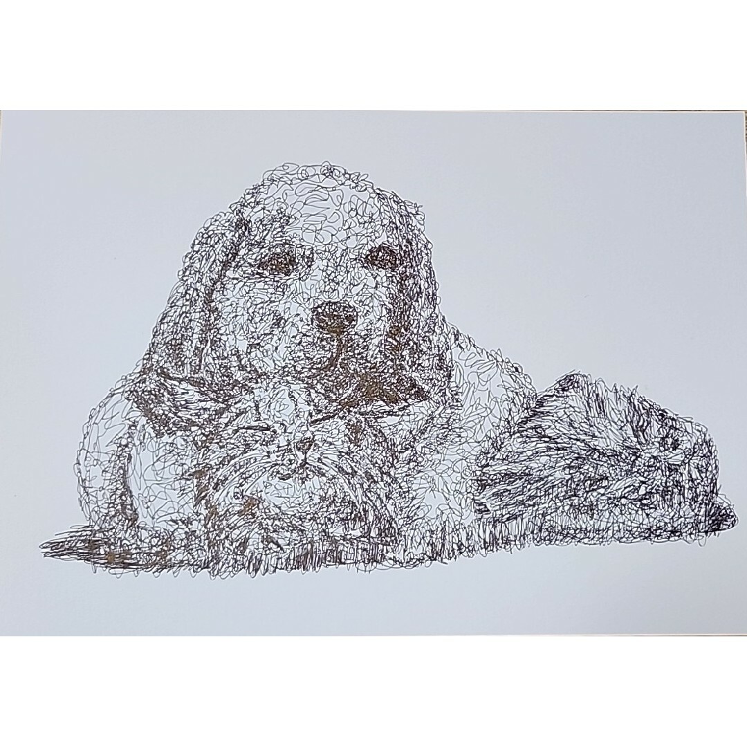 『猫と犬』ボールペン画。一筆書き。手描きイラスト。a4。 ハンドメイドのインテリア/家具(アート/写真)の商品写真