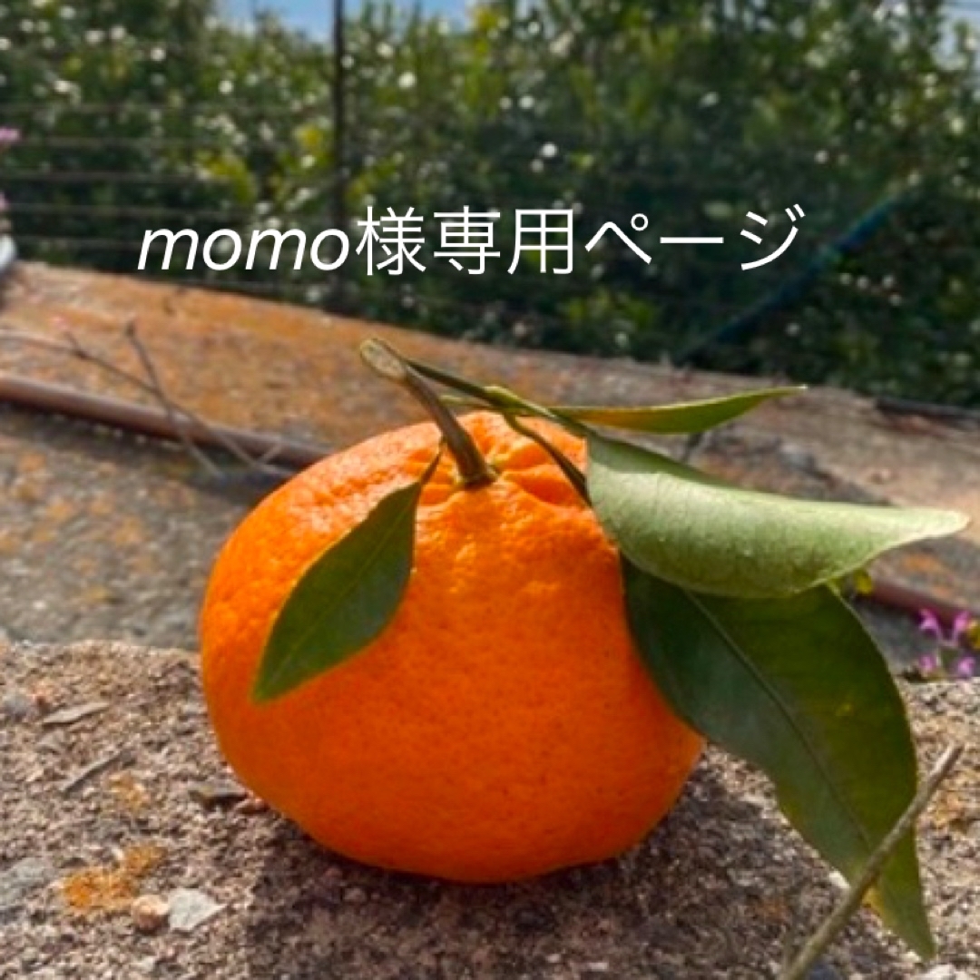 momoページ