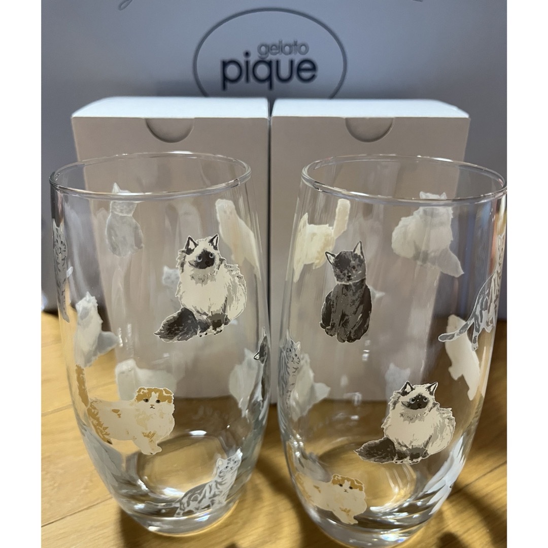 gelato pique - ☆ジェラートピケ☆猫☆グラス☆2つセット gelato pique - ☆ジェラートピケ☆猫☆グラス☆2つセット