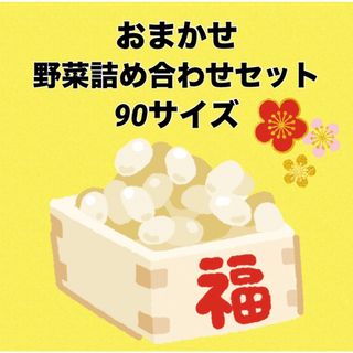 3日月曜日発送‼️おまかせ野菜セット‼️(野菜)