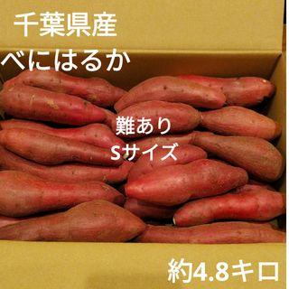 18 難あり　千葉県産　べにはるか　さつまいも　サツマイモ　Sサイズ　約4.8㎏(野菜)