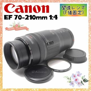 Canon - ❤即購入1000円OFF❤ キャノン EF 70-210mm 魅惑の中 Canon - ❤即購入1000円OFF❤ キャノン EF 70-210mm 魅惑の中