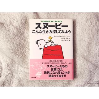 スヌーピー(SNOOPY)の🐼本 ｢スヌーピー こんな生き方探してみよう｣🐼(その他)