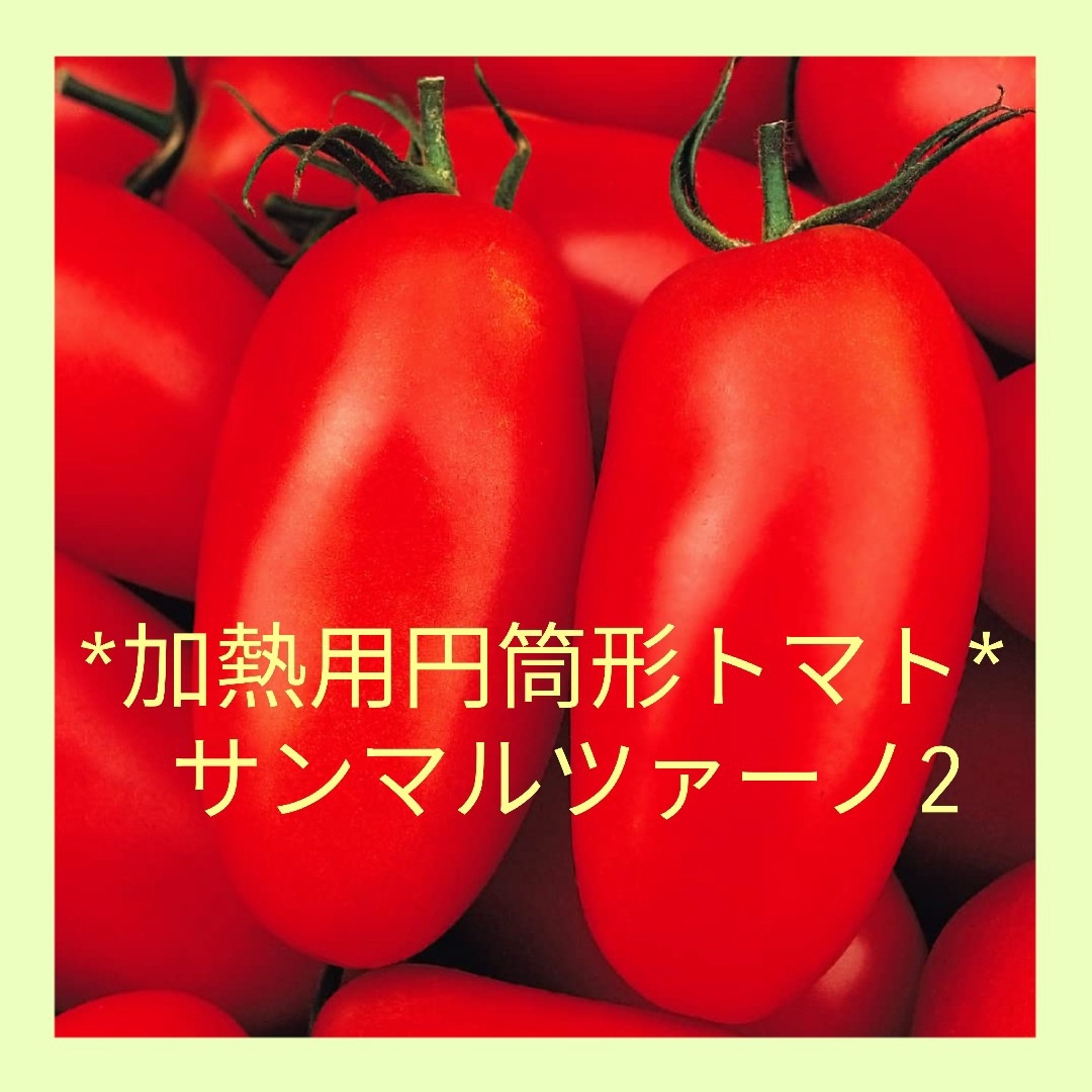15粒 人気の固定種!加熱用円筒形トマト✦サンマルツァーノ2✦野菜の種 ハンドメイドのフラワー/ガーデン(その他)の商品写真