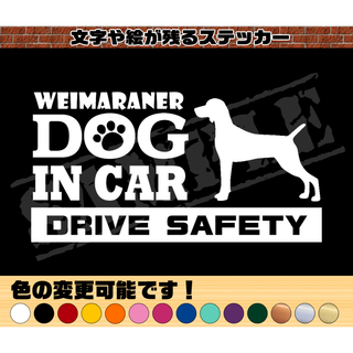 ワイマラナー・犬種名・DOG IN CAR・DRIVE SAFETY ステッカー(車外アクセサリ)