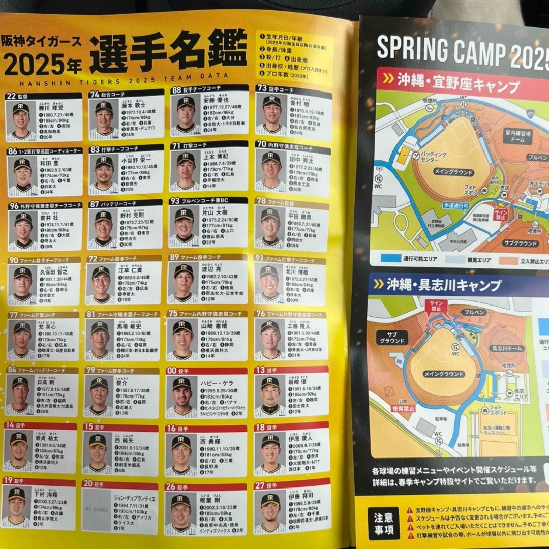 阪神タイガース - 新品未開封‼︎阪神タイガース2025中野春季 阪神タイガース - 新品未開封‼︎阪神タイガース2025中野春季