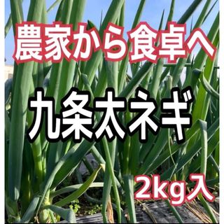 甘みが増した九条太ネギ2キロ入‼️(野菜)