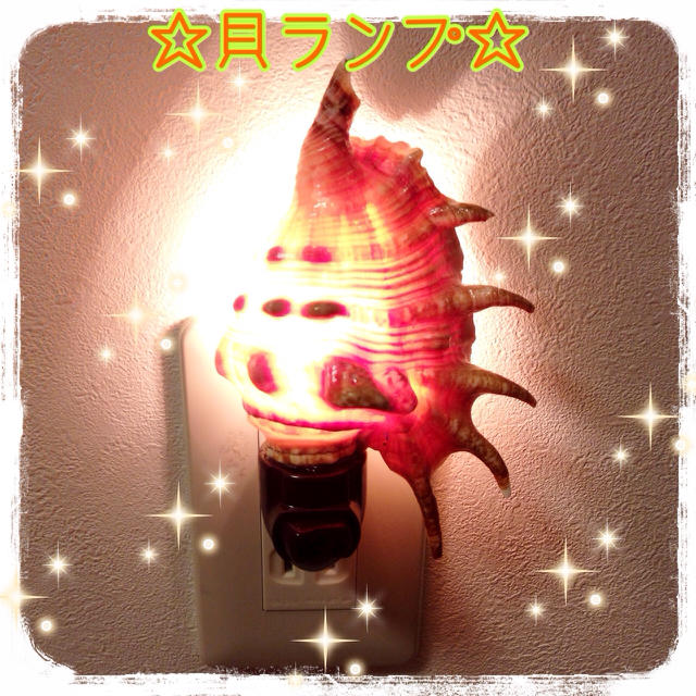 貝ランプ☆インテリア雑貨☆沖縄☆照明の通販 by yuu,hand made 貝ランプ☆インテリア雑貨☆沖縄☆照明の通販 by yuu,hand made