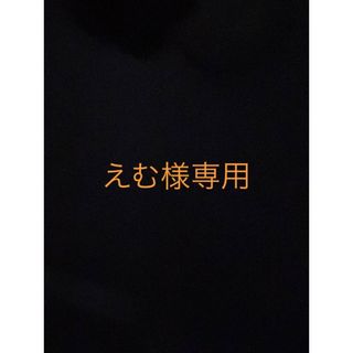 えむ様専用(ミュージシャン)