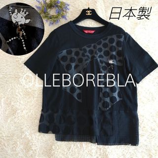 ALBEROBELLO - ALBEROBELLO/OLLEBOREBLA(アルベロベロ ALBEROBELLO - ALBEROBELLO/OLLEBOREBLA(アルベロベロ
