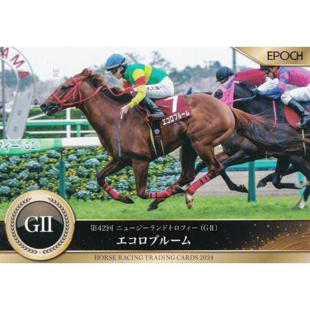 ホースレーシング トレーディングカード 36 エコロブルーム (レギュラーカード/2024年上半期重賞優勝馬/ニュージーランドT) エポック 〜2024上半期総集編〜 エンタメ/ホビーのアニメグッズ(その他)の商品写真