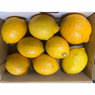 瀬戸内レモン　無農薬D(フルーツ)