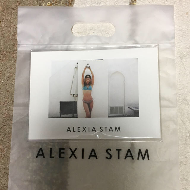 ALEXIA STAM(アリシアスタン)の☆新品☆ALEXIASTAM アリシアスタン ビキニ上下セット Mサイズ レディースの水着/浴衣(水着)の商品写真