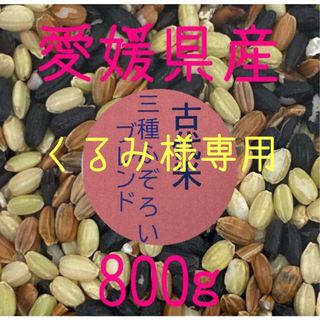 くるみ様専用　ふぞろい緑米(古代米)　愛媛県産　800ｇ(米/穀物)