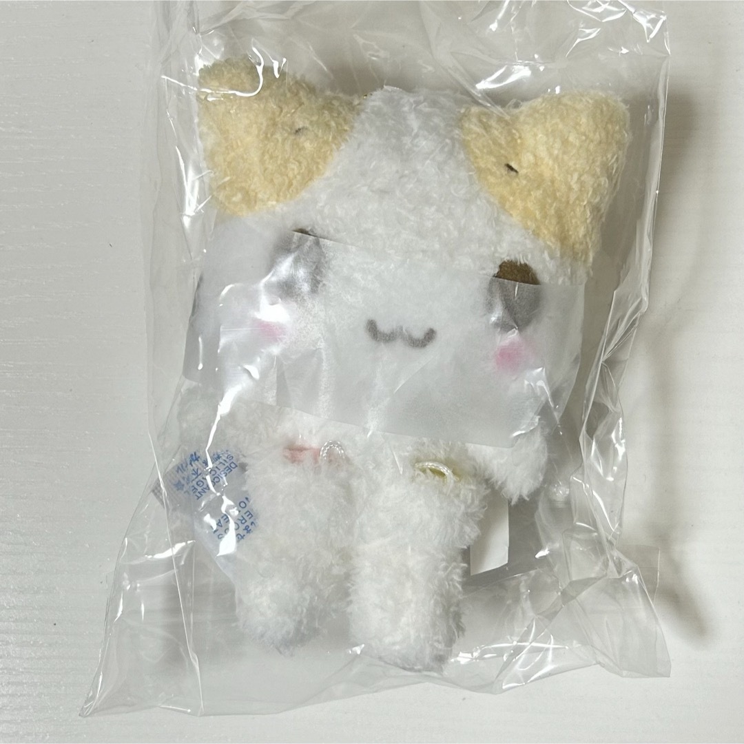 サンリオ - サンリオ ねこの会 マシュマロみたいなふわふわ サンリオ - サンリオ ねこの会 マシュマロみたいなふわふわ