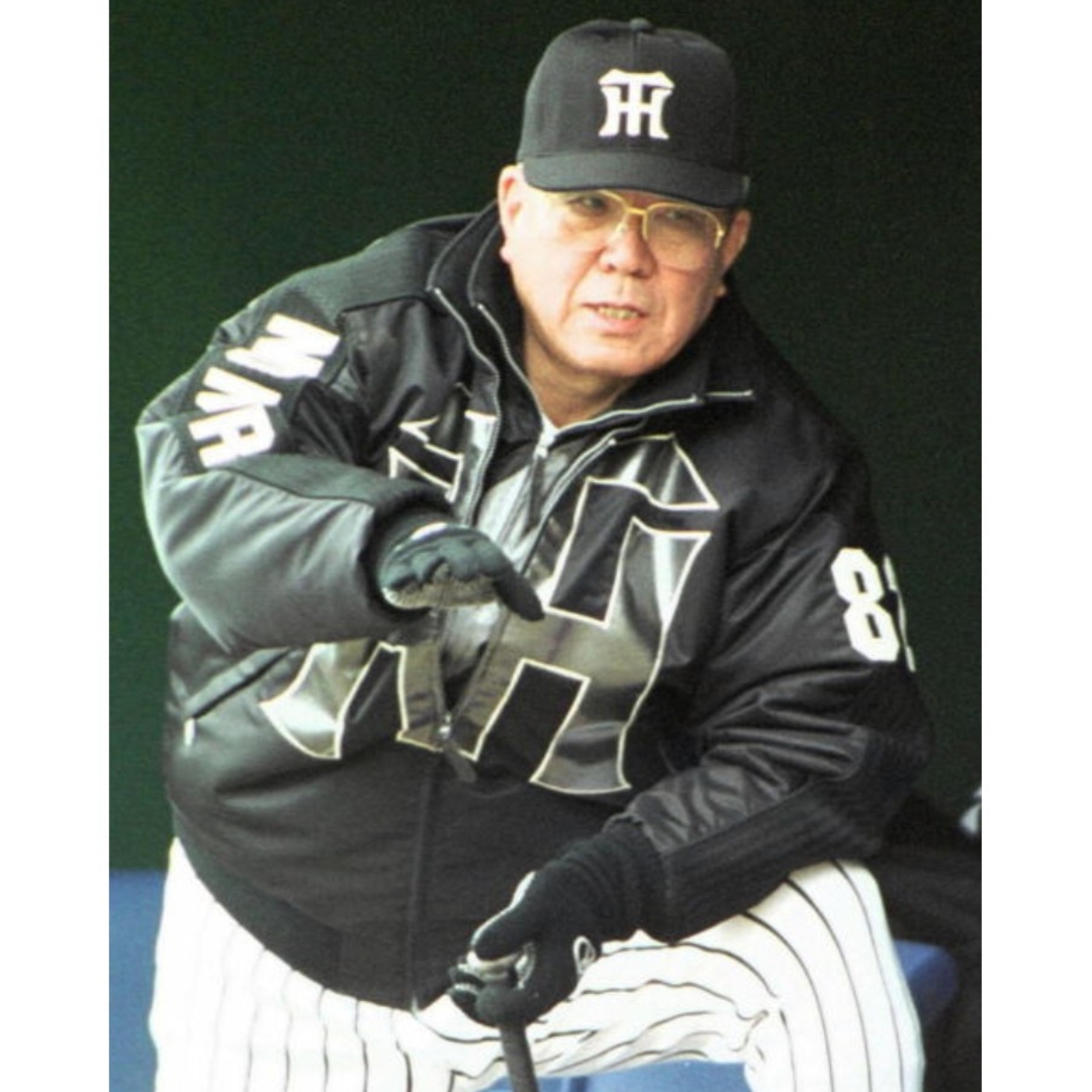 Rawlings - 【実使用】阪神 タイガース 嶋田 コシノヒロコ Rawlings - 【実使用】阪神 タイガース 嶋田 コシノヒロコ
