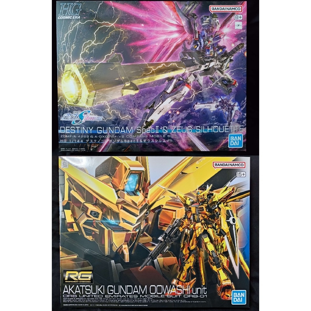 HG ディスティニーゼウスシルエット、マイティストライクRG 易い HG ディスティニーゼウスシルエット、マイティストライクRG 易い