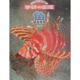 魚（さかな）/Ｇａｋｋｅｎ（大型本）(絵本/児童書)