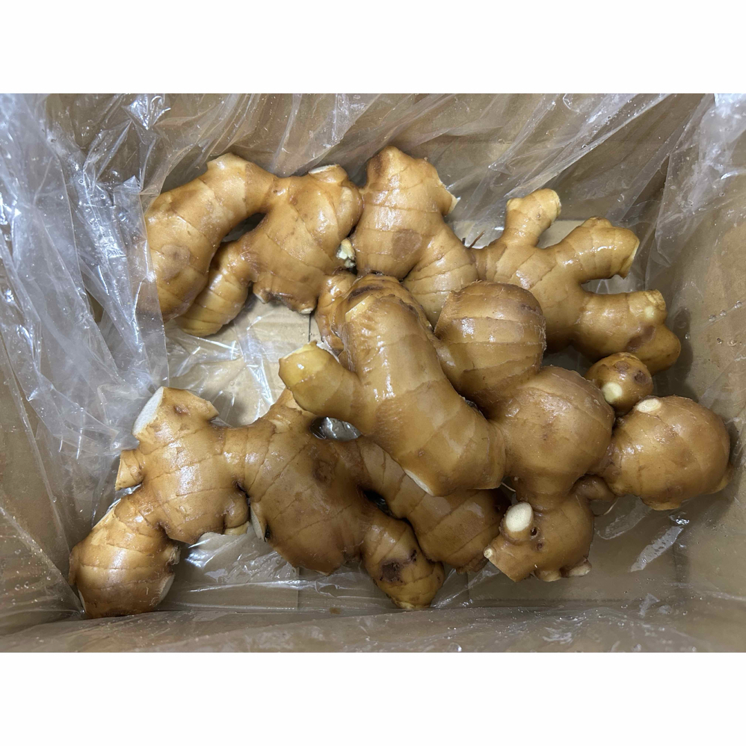 高知県産囲生姜1Kg 食品/飲料/酒の食品(野菜)の商品写真