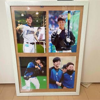 北海道日本ハムファイターズ - 大田泰示選手 直筆サインボール 北海道日本ハムファイターズ - 大田泰示選手 直筆サインボール