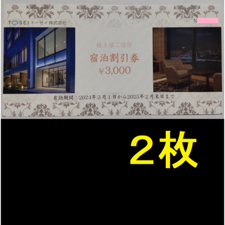 トーセイ 株主優待券 6000円分 2025年2月期限 -a(宿泊券)