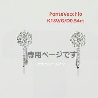 Ponte Vecchio(ピアス)のフリマアイテム一覧 Ponte Vecchio(ピアス)のフリマアイテム一覧