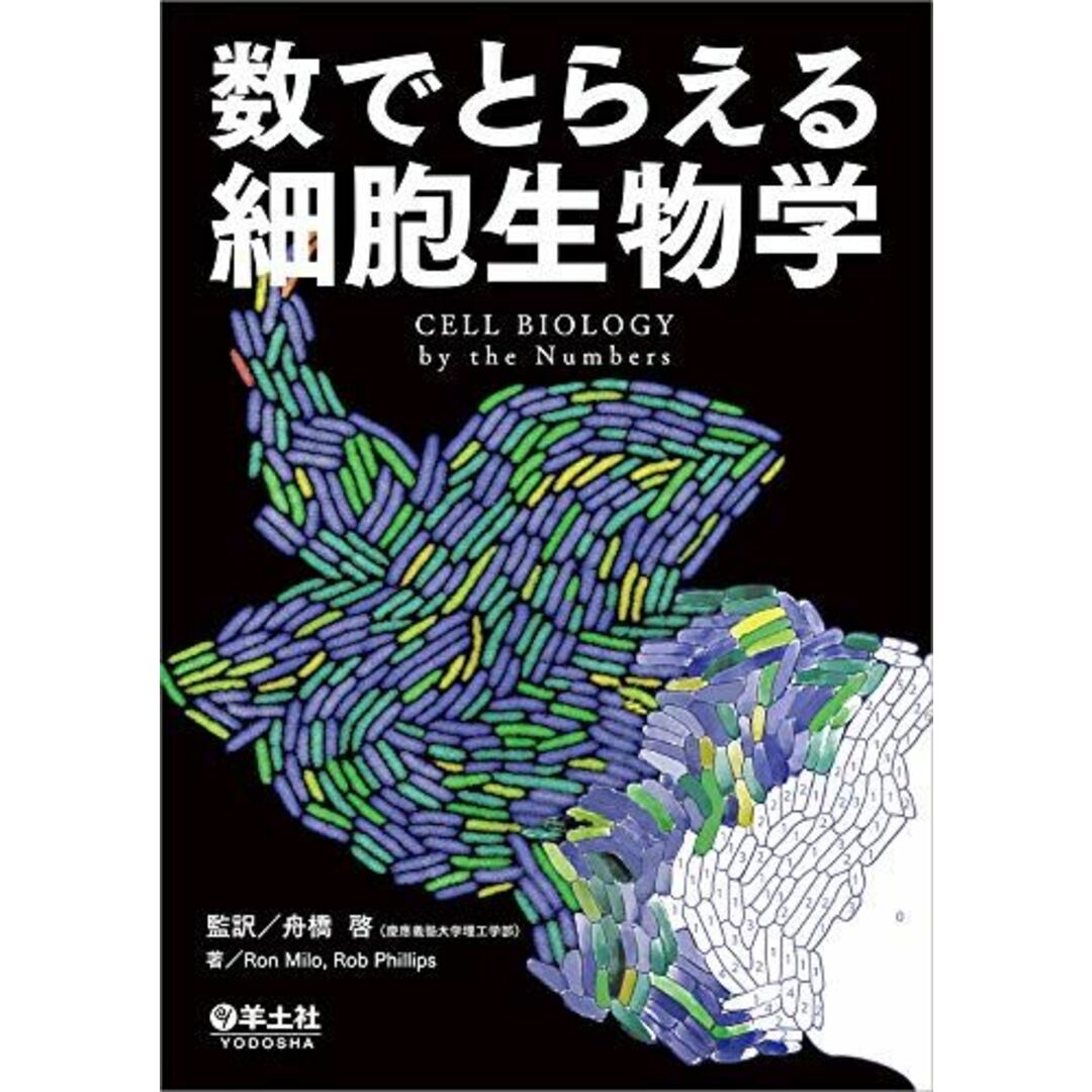 数でとらえる細胞生物学 エンタメ/ホビーの本(語学/参考書)の商品写真
