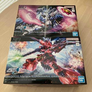 BANDAI - HG ゲルググメナース ルナマリア・ホーク専用機 BANDAI - HG ゲルググメナース ルナマリア・ホーク専用機
