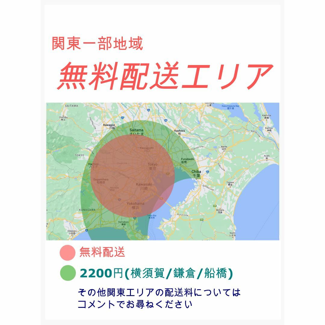 BRIDGESTONE - 愛知静岡配送可 ビッケ 大人気ブリヂストン 子供 BRIDGESTONE - 愛知静岡配送可 ビッケ 大人気ブリヂストン 子供
