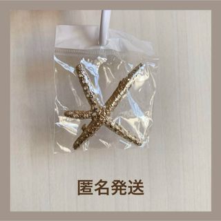 ヒトデ ヘアピン スターフィッシュ(ヘアピン)