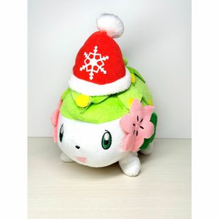Item Picture