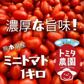 熊本県産ミニトマト「茜とまと１キロ」(野菜)