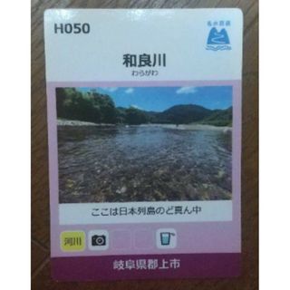名水百選カード　H050　和良川　岐阜県郡上市(その他)