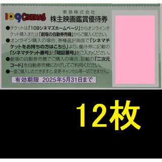 東急 株主映画鑑賞優待券 12枚 2025年5月期限 -c(その他)
